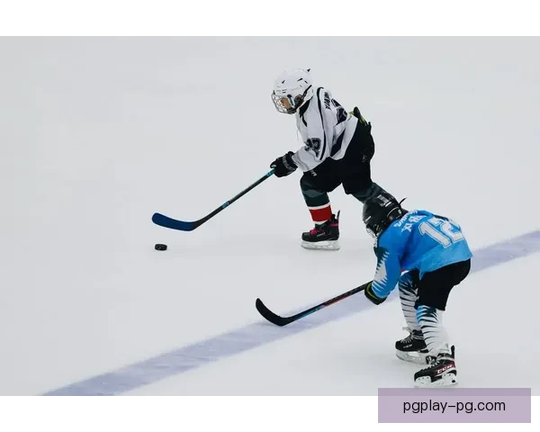 冰球竞技:全面解读冰球比赛规则、战术技巧和战略策略 冰球竞技:全面解读冰球比赛规则、战术技巧和战略策略