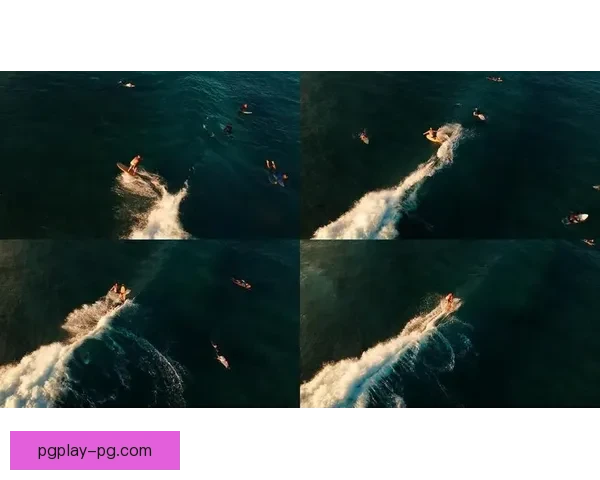 冲浪冠军：探寻波浪之道