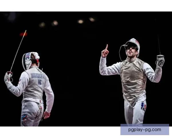 击剑冠军：剑指巅峰、征服世界