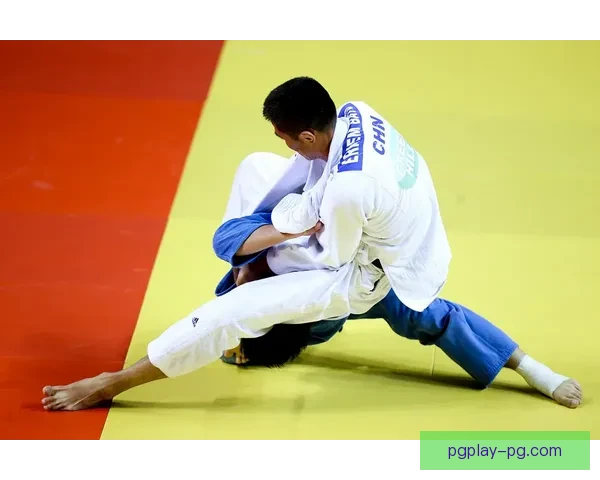 学习柔道技术，提升实战能力