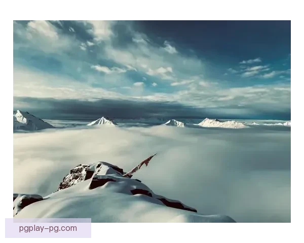 山峰征服之路:初学者登山指南 山峰征服之路:初学者登山指南