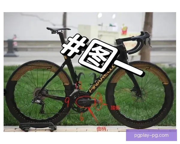 手把手教你骑自行车：完整教学视频指南